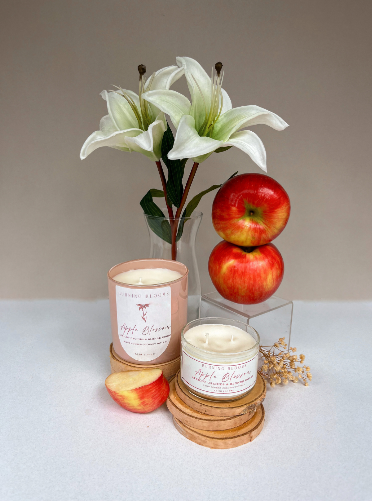 Apple Blossom- Apricot Bliss & Blonde Grove